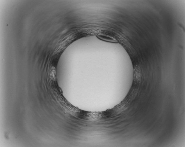 X0000100420141200806201831