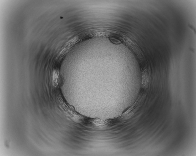 X0000100420142200806201831