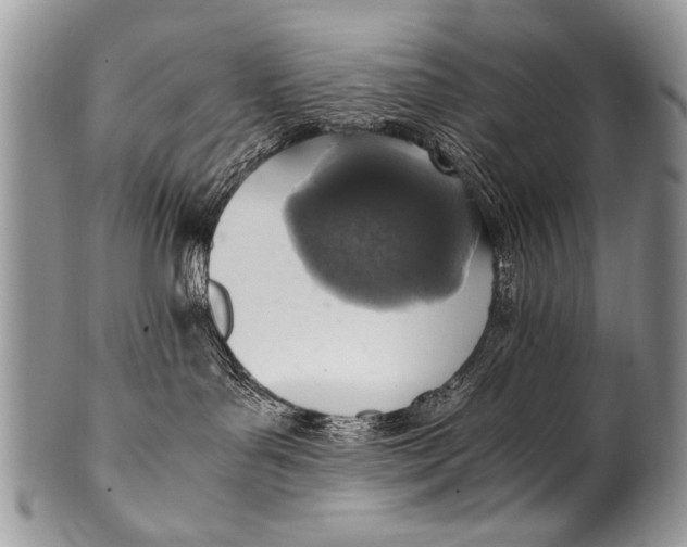 X0000100420143200806201831
