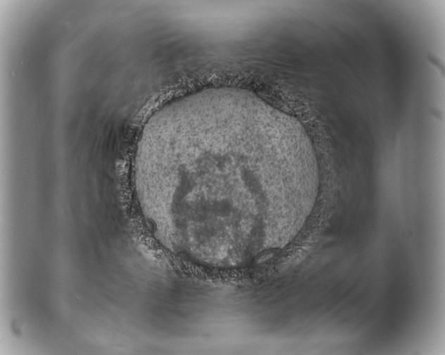 X0000100420144200806201831