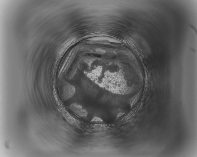 X0000100420145200806201830