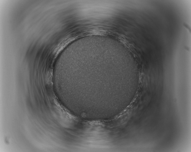 X0000100420146200806201830