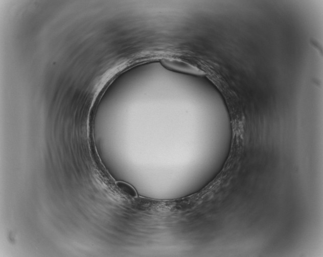 X0000100420148200806201830