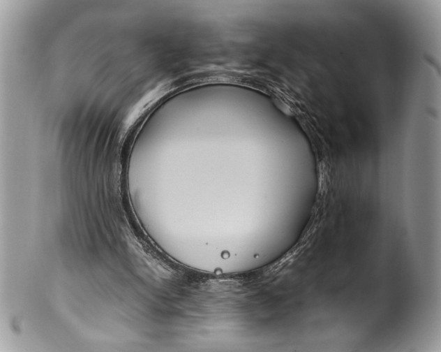 X0000100420150200806201830