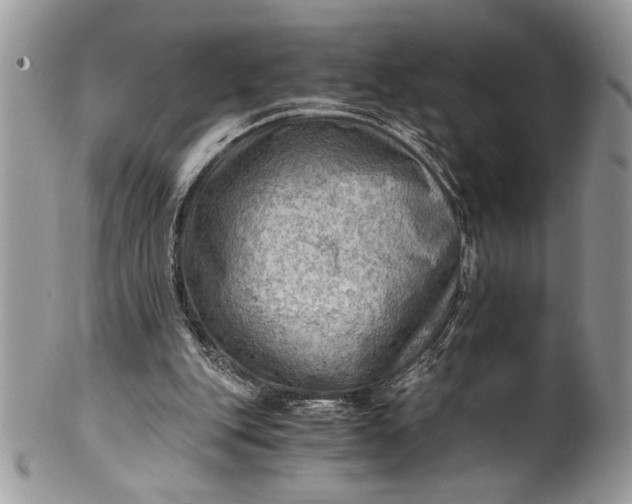 X0000100420151200806201830