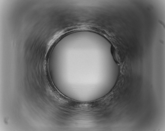 X0000100420152200806201830