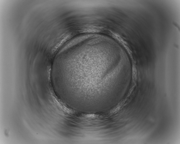 X0000100420153200806201830