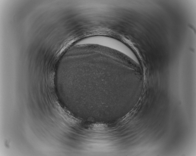 X0000100420154200806201830