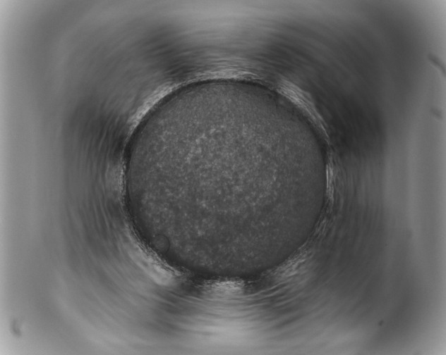 X0000100420156200806201830