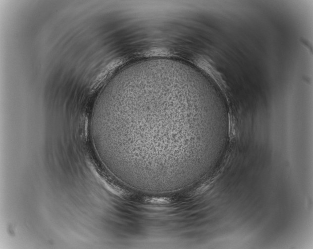 X0000100420157200806201830