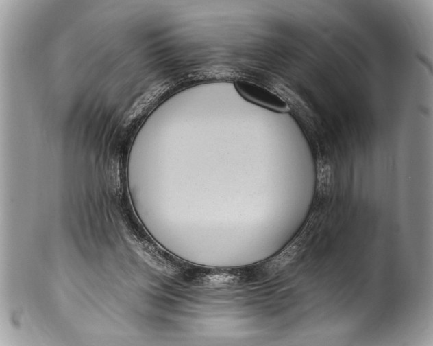 X0000100420158200806201830