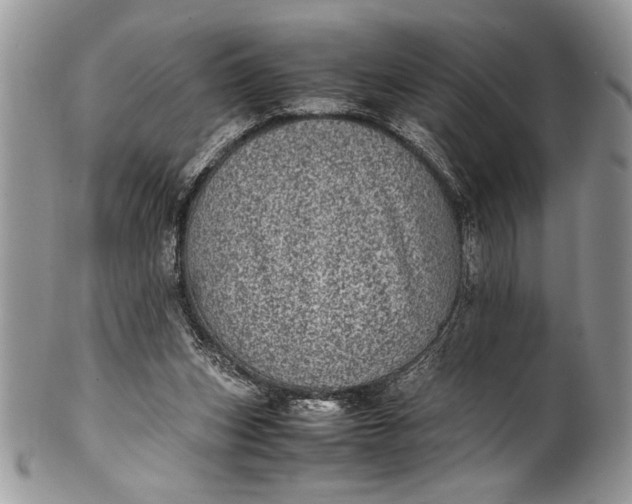 X0000100420159200806201831