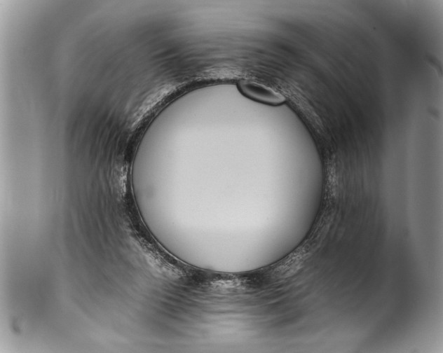 X0000100420160200806201831