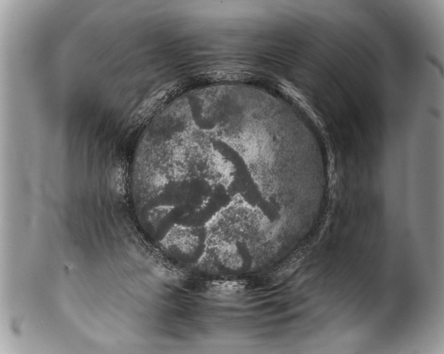 X0000100420161200806201831