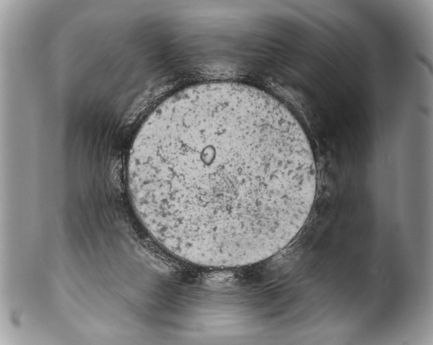X0000100420162200806201831
