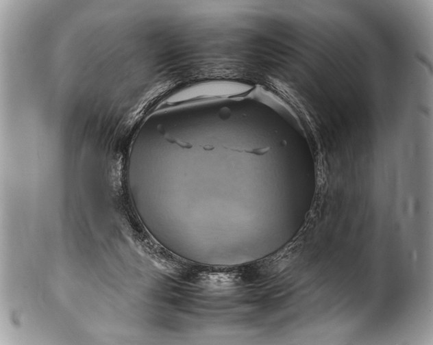 X0000100420163200806201831