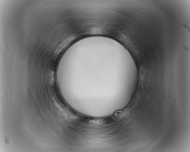 X0000100420164200806201831