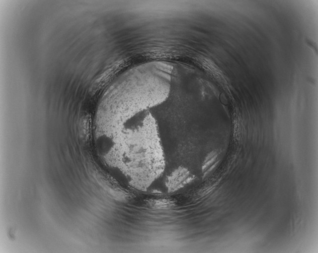 X0000100420165200806201831