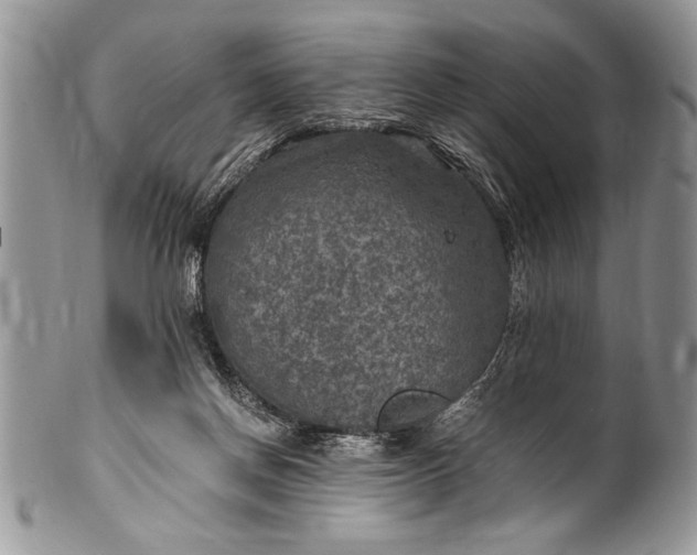 X0000100420166200806201831