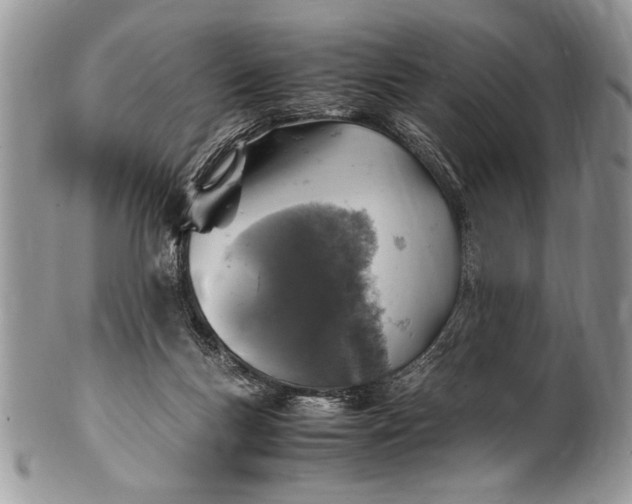 X0000100420167200806201831