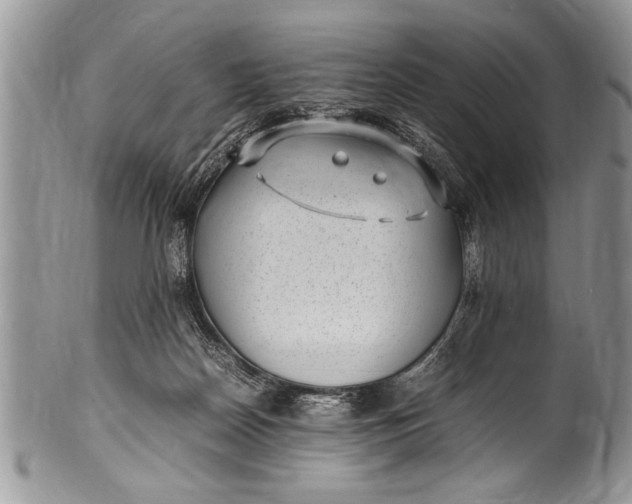 X0000100420170200806201831