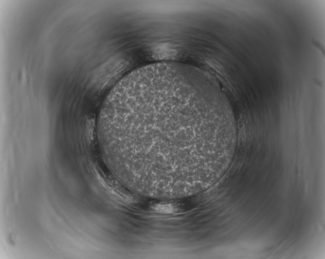 X0000100420171200806201831
