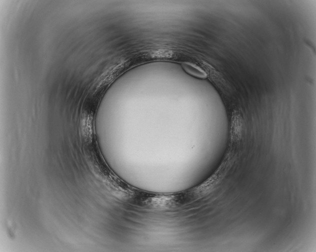X0000100420172200806201831