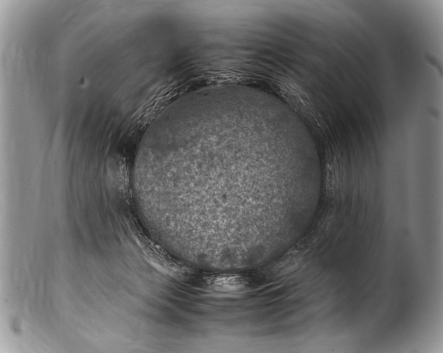 X0000100420173200806201831