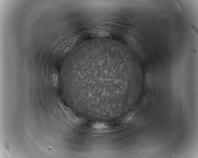 X0000100420177200806201831