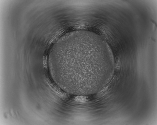 X0000100420179200806201831
