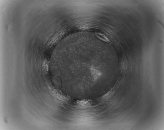 X0000100420180200806201831