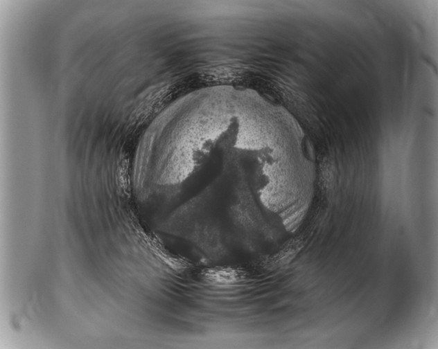 X0000100420181200806201831