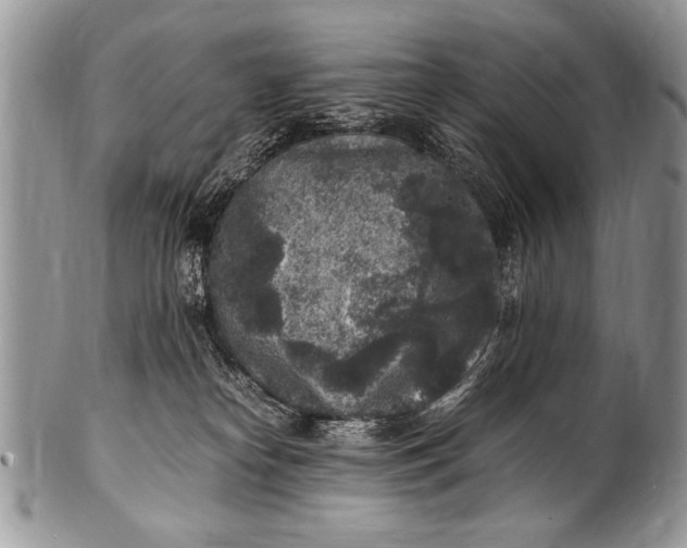 X0000100420182200806201831