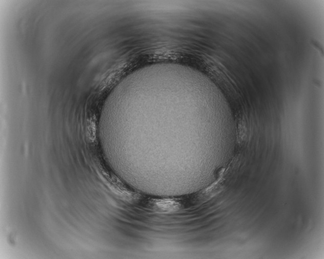 X0000100420183200806201831