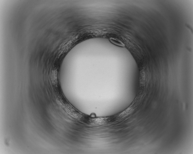 X0000100420184200806201831