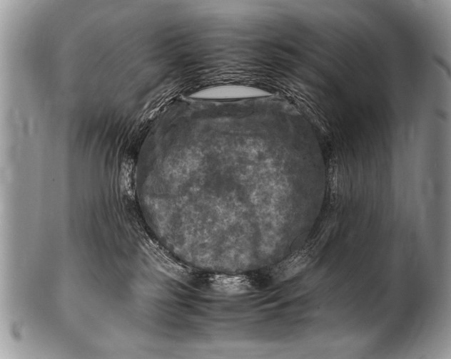 X0000100420185200806201831