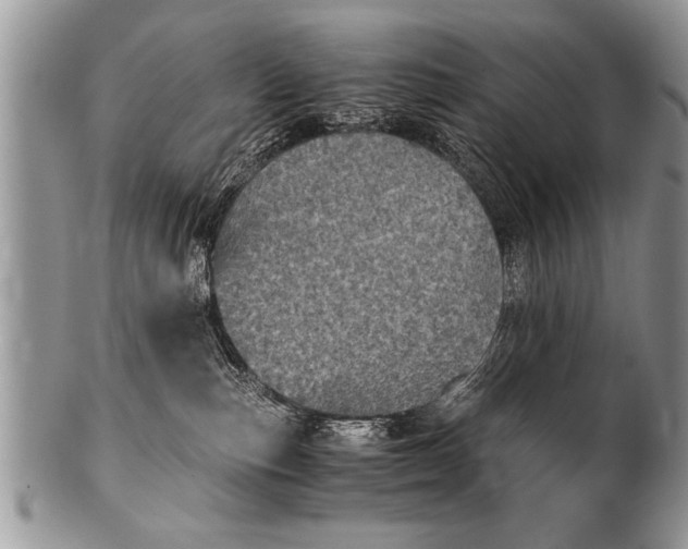 X0000100420187200806201831