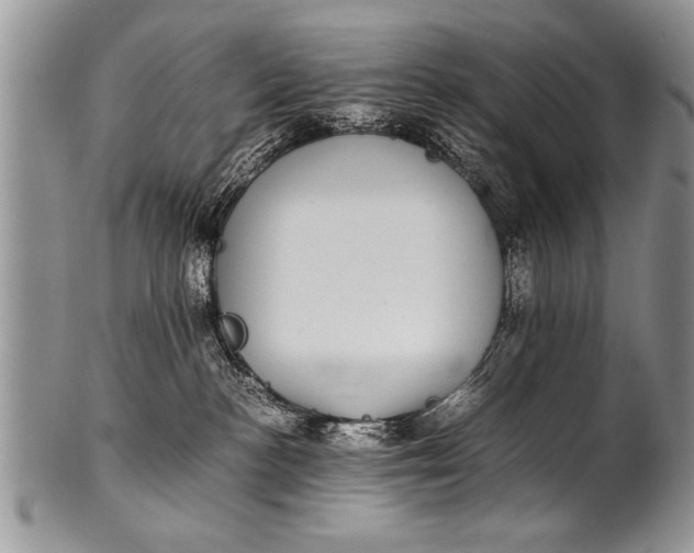 X0000100420188200806201831