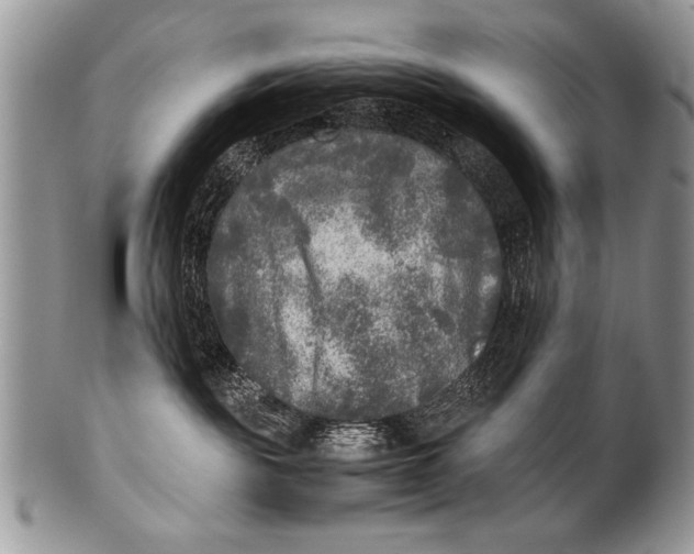 X0000100420189200806201831