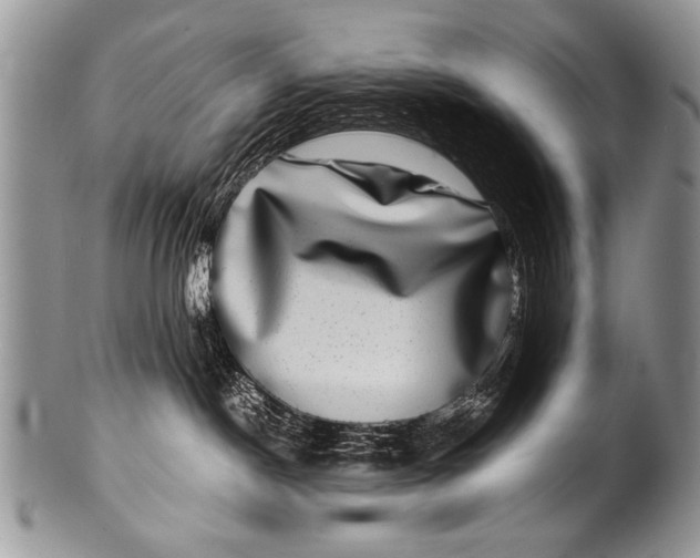 X0000100420190200806201831