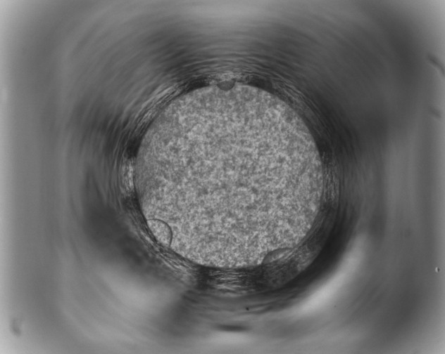 X0000100420191200806201831