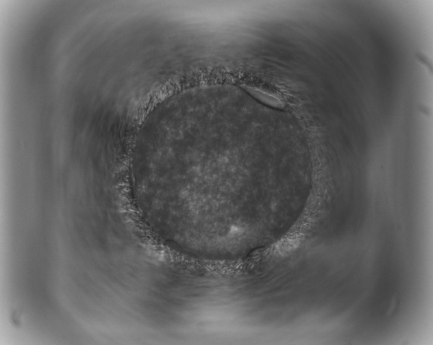 X0000100420192200806201831
