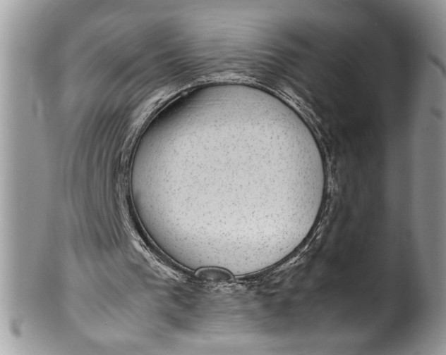 X0000100420193200806201830