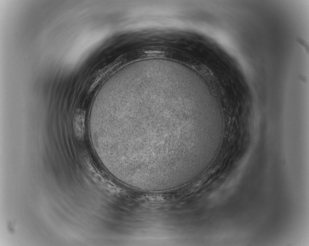 X0000100420194200806201830