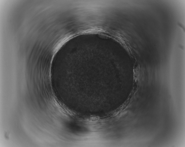 X0000100420196200806201830