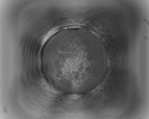 X0000100420198200806201830