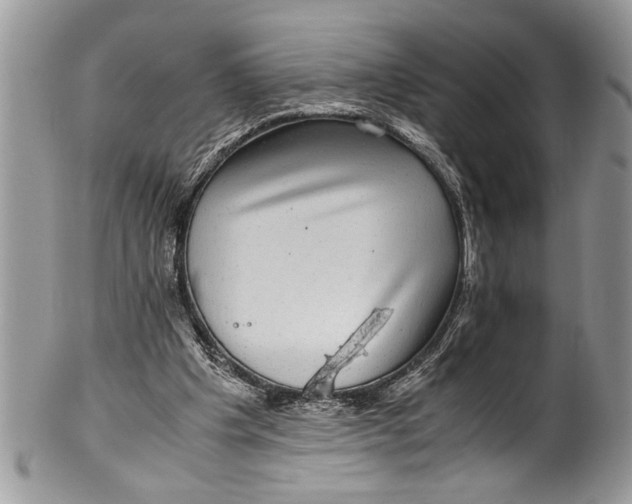 X0000100420201200806201830