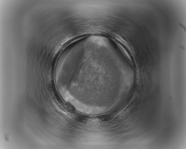 X0000100420203200806201830