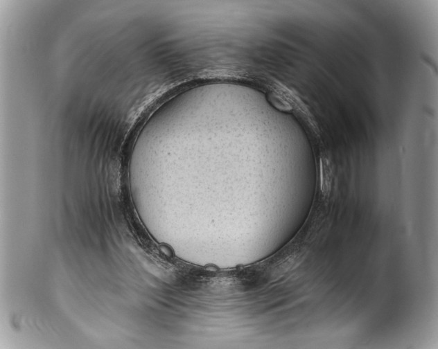 X0000100420204200806201830