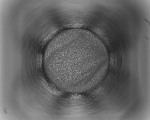 X0000100420206200806201830